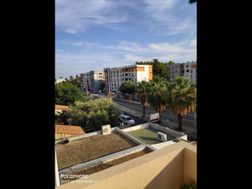 Photo n°4
