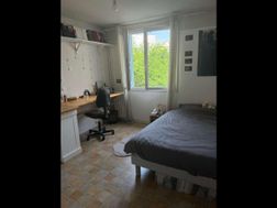 Photo n°1