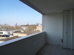 Photo n°3