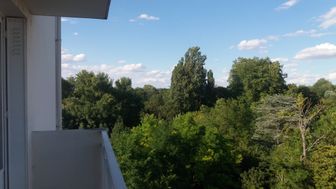 Photo n°8
