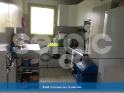 Photo n°3
