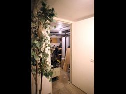 Photo n°17