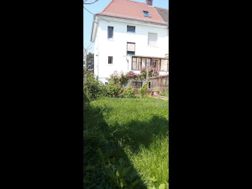 Photo n°1