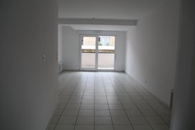 Photo n°2