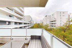 Photo n°6