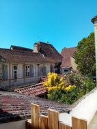 Photo n°1