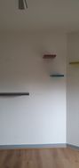 Photo n°4