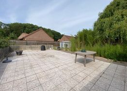 Photo n°9