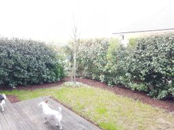 Photo n°2