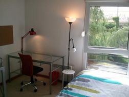 Photo n°1
