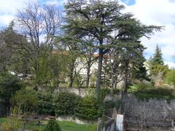 Photo n°1
