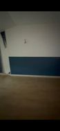 Photo n°4