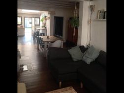Photo n°6
