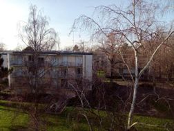 Photo n°14