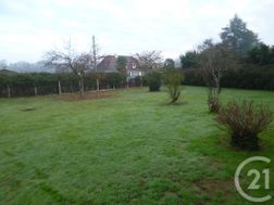 Photo n°3