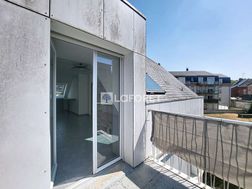 Photo n°6