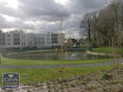 Photo n°5
