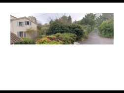 Photo n°2