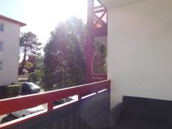 Photo n°1