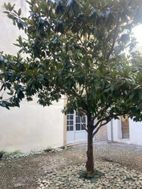 Photo n°2