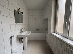 Photo n°7