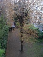 Photo n°4