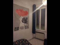 Photo n°8