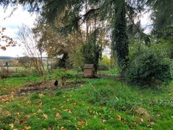 Photo n°6
