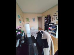 Photo n°4