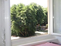 Photo n°4