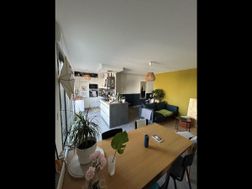 Photo n°5
