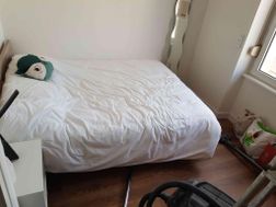 Photo n°5