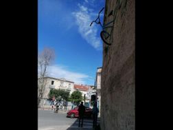 Photo n°7