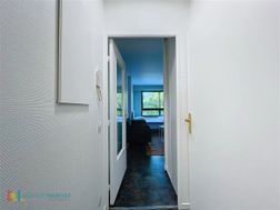 Photo n°5