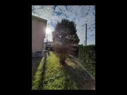 Photo n°1