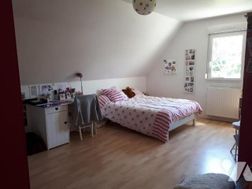 Photo n°5