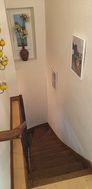 Photo n°4