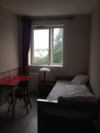 Photo n°3