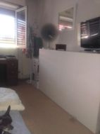 Photo n°2