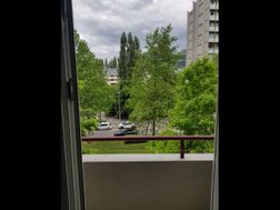 Photo n°6