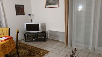 Photo n°9