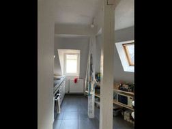 Photo n°5