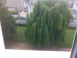 Photo n°1