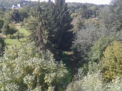 Photo n°7