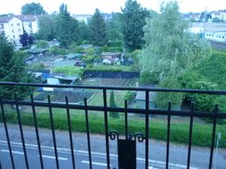 Photo n°1