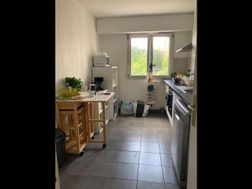 Photo n°4