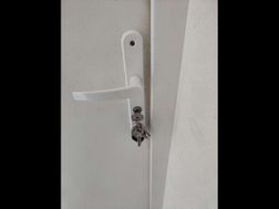 Photo n°5