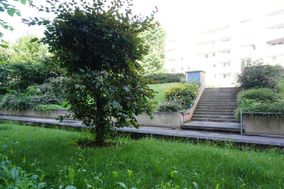 Photo n°5