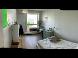 Photo n°6