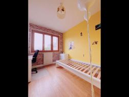 Photo n°1
